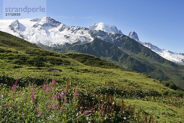 View on Les Drus and La Verte  Col de Balme  Chamonix  France