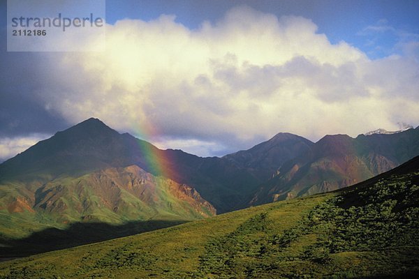 Rainbow appears after storm. Denali National Park  Alaska