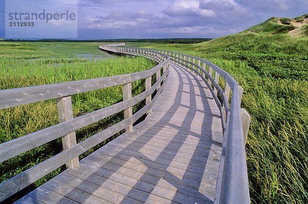 Wood bridge protects wetlands in Prince Edward Island Natl. Pk.
