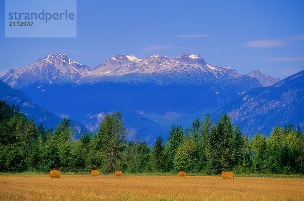 Hay bales in field  Pemberton  with mountains behind