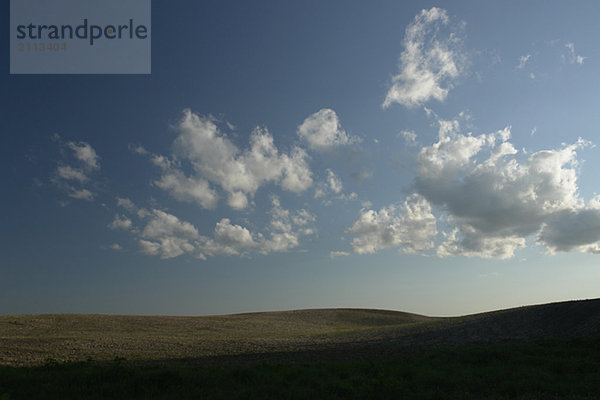 'Evening sun over farmland