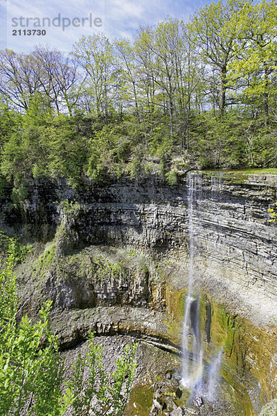 View of a waterfall from the top of the escarpment  Canada  Ontario  Dundas