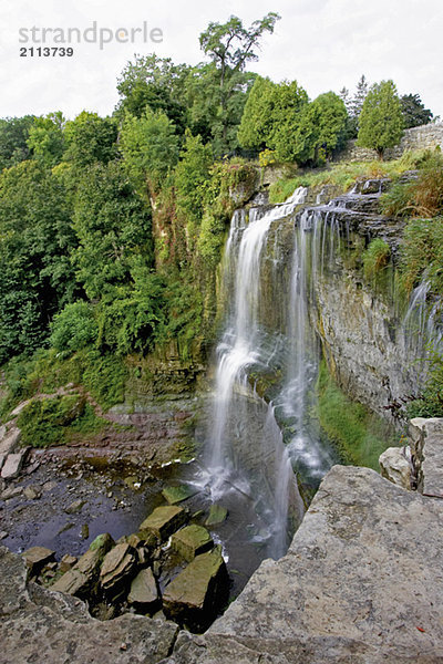 View of Webster's Falls  Canada  Ontario  Dundas