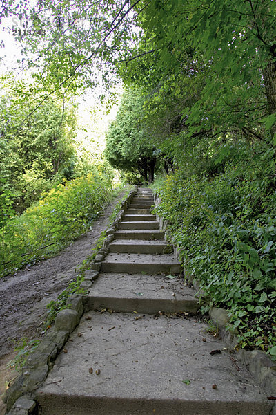Stone staircase surrounded by greenery  Canada  Ontario  Dundas