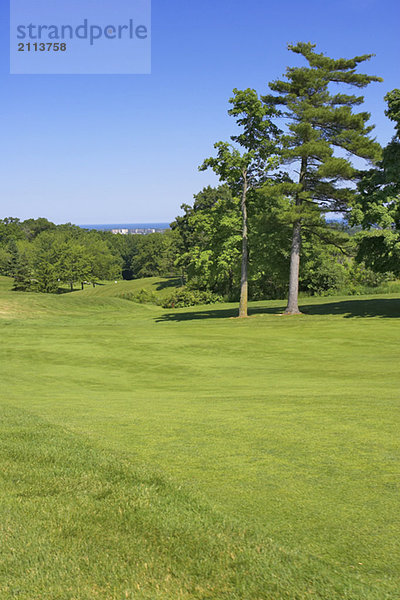 The greens of a golf course with a view of the lake  Canada  Ontario  Burlington