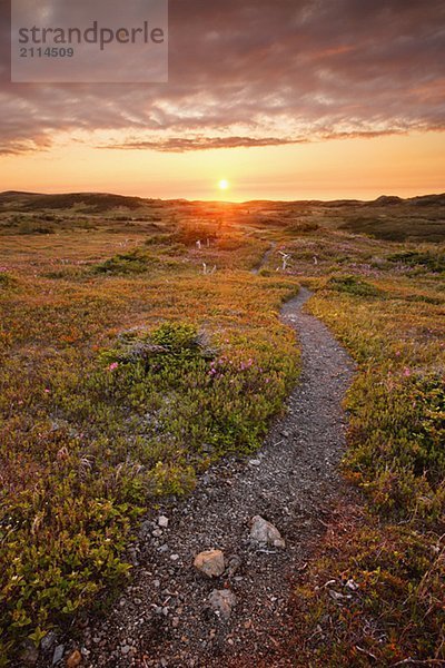 View of Lookout Trail at sunset  Gros Morne NP  Newfoundland  Canada