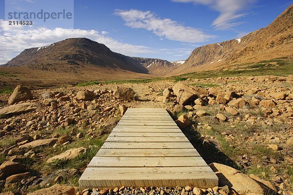 View of trail and Tablelands  Gros Morne NP  Newfoundland  Canada