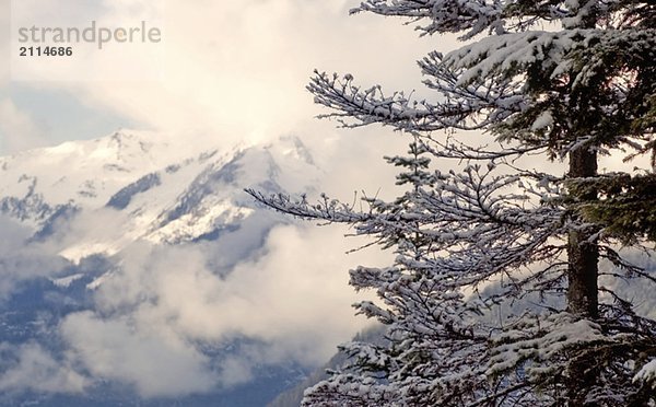 Winter vista  Whistler  BC Canada