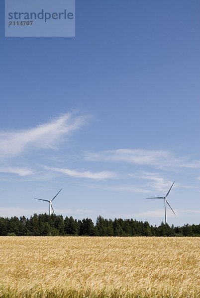 Wind turbines  near East Point  Prince Edward Island