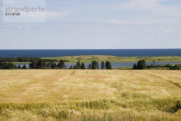 Farmland and ocean near East Point  Prince Edward Island