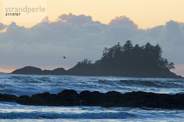 Sunset  Chesterman Beach  Tofino  Vancouver Island  BC