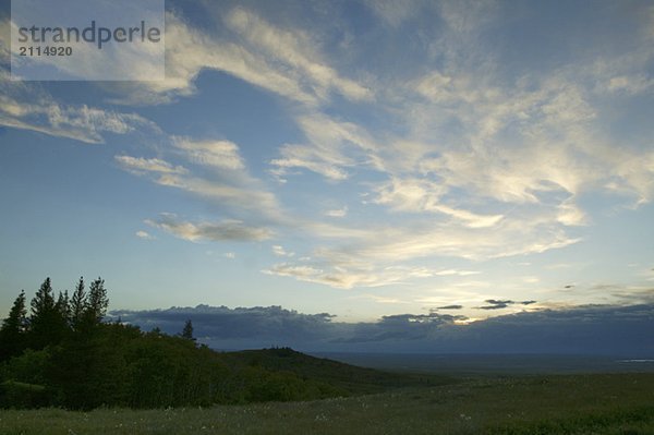 Sunset at Cypress Hills Interprovincial Park  Saskatchewan  Canada
