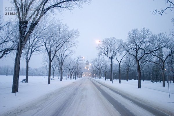 Park in winter  Assiniboine Park  Winnipeg  Canada