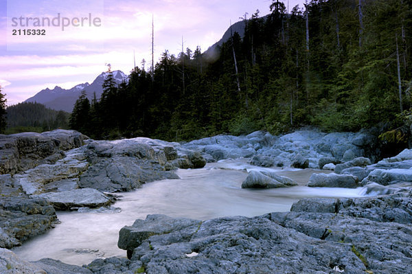 Flowing river at sunset  Vancouver Island  Canada