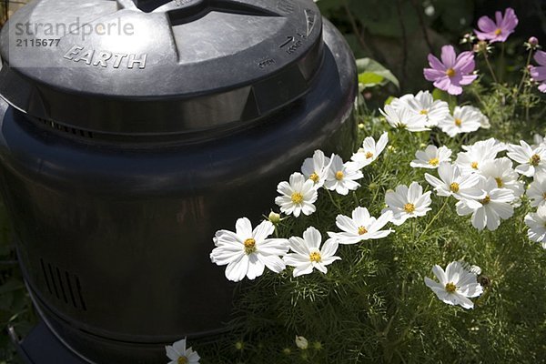 Compost bin in garden  Cypress Street Community Garden  Vancouver  BC