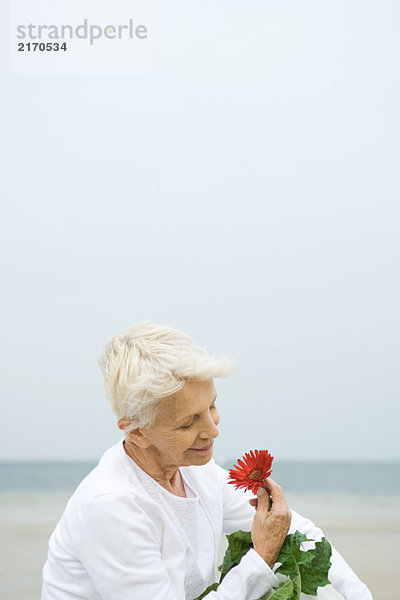 Seniorin mit Gerbera-Gänseblümchen  lächelnd  Nahaufnahme