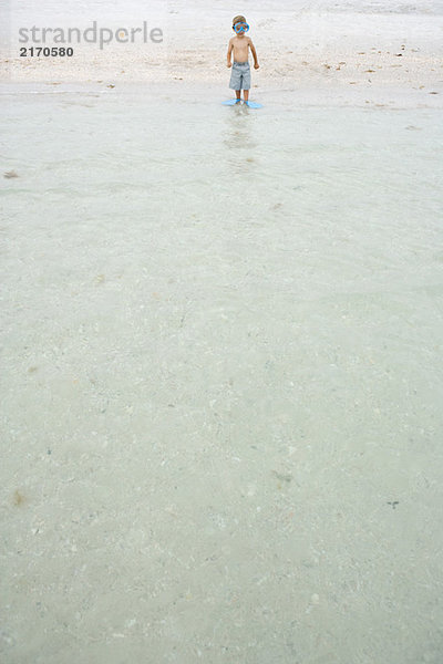Kleiner Junge mit Schwimmmaske und Flossen  knöcheltief im Wasser stehend  Mittelstrecke