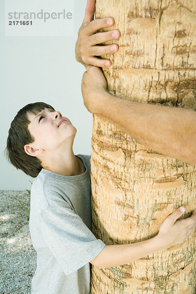 Junge und Mann umarmender Baum  beschnittene Ansicht