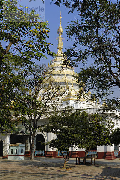 Bäume vor Pagode  Kyauktawgyi Pagode  Mandalay  Myanmar