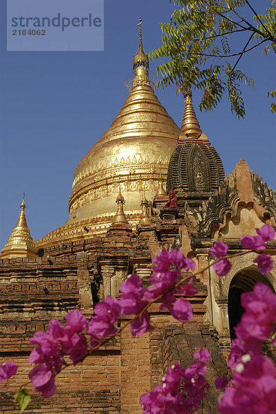 Untersicht Pagode  Dhammayazika Pagode  Bagan  Myanmar