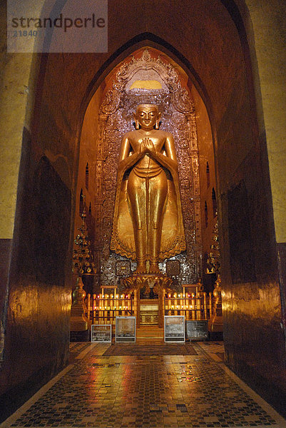 Statue von Buddha Tempel  Ananda-Tempel  Bagan  Myanmar