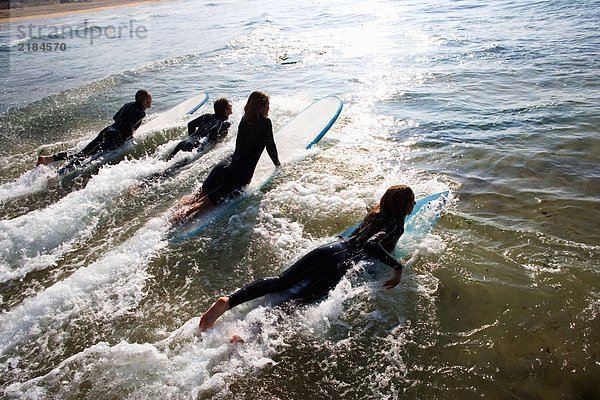 Vier Leute liegen auf Surfbrettern im Wasser.