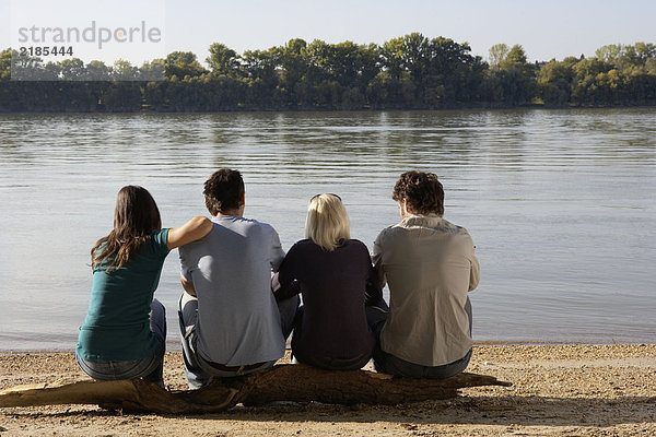 Vier Freunde sitzen auf einem Baumstamm am See.