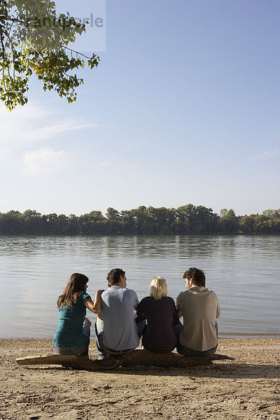 Vier Freunde sitzen auf einem Baumstamm am See.