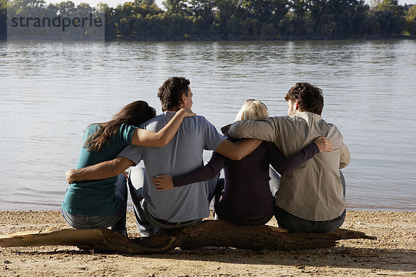 Vier Freunde sitzen auf einem Baumstamm an einem See mit Armen umeinander.