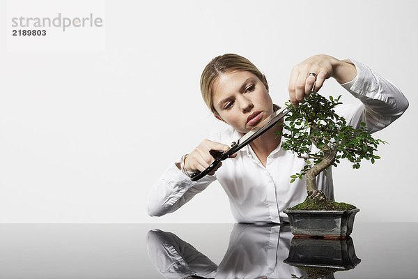 Junge Geschäftsfrau am Schreibtisch beim Beschneiden des Bonsai-Baumes.