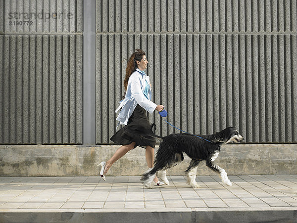 Eine Frau  die mit einem afghanischen Hund im Handumdrehen den Bürgersteig hinuntergeht  Alicante  Spanien