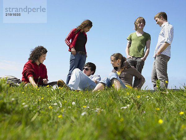 Gruppe junger Leute  die sich im Gras entspannen.