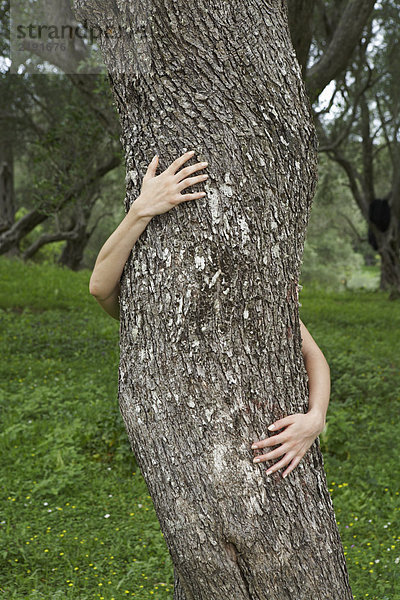 Arme einer jungen Frau  die im Hintergrund einen Olivenbaum umarmt.