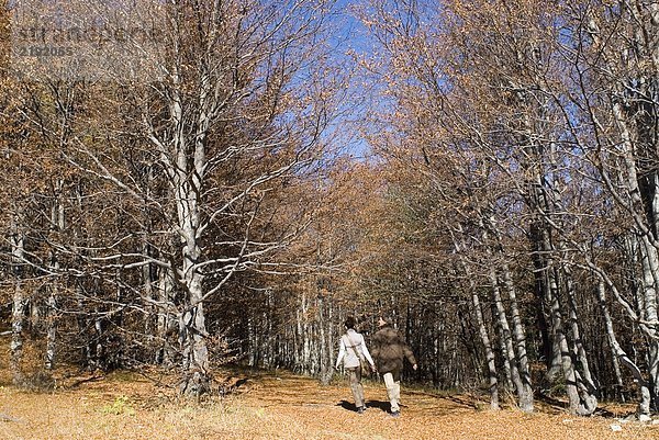 Ein Paar geht in den Wald.