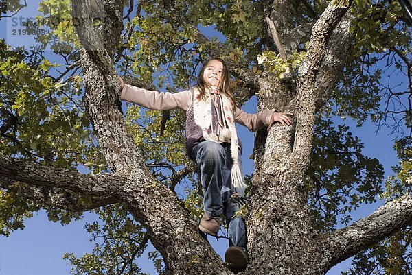 Ein junges Mädchen  das lächelnd auf einen Baum klettert.