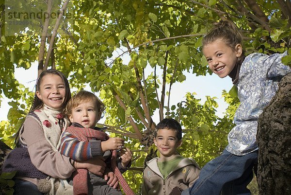 Eine Gruppe von Kindern in einem Baum.