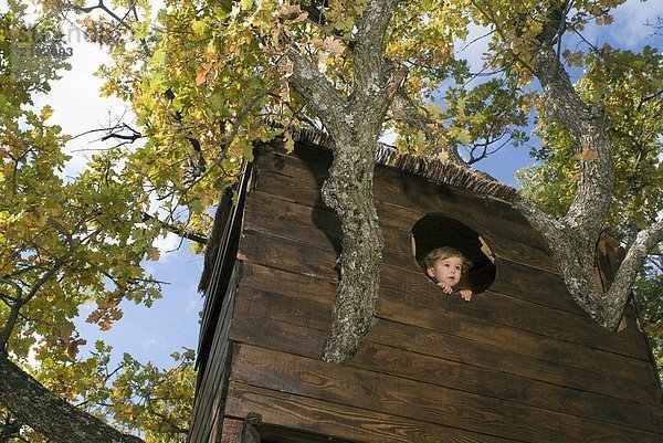 2-3 Jahre alter Junge in einem Baumhaus.