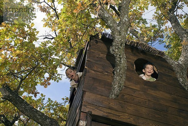 Kinder spielen in einem Baumhaus.