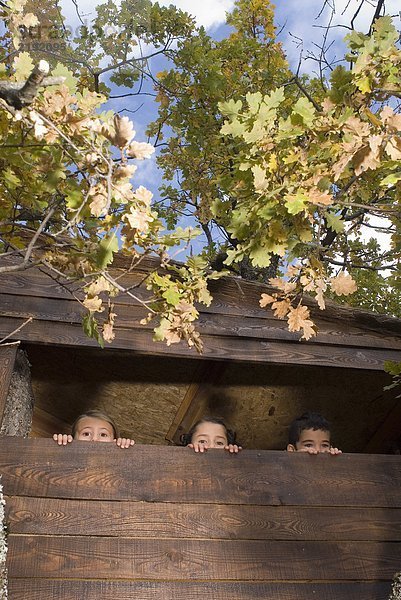 Gruppe von Kindern in einem Baumhaus.
