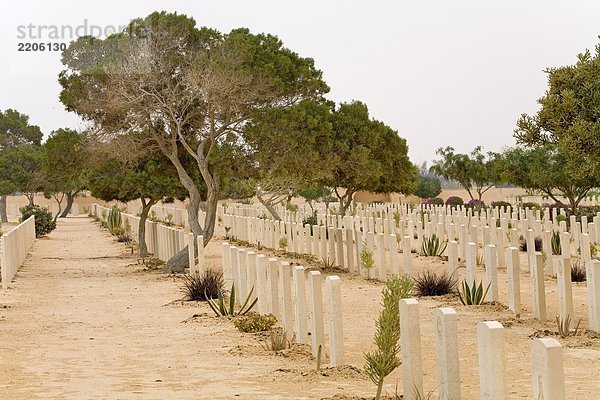 Graves in Militärfriedhof  El Alamein  Western Desert  Ägypten