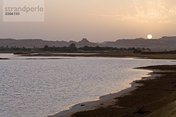 Oase in der Wüste in der Dämmerung  zur Oase Siwa  Libysche Wüste Ägypten