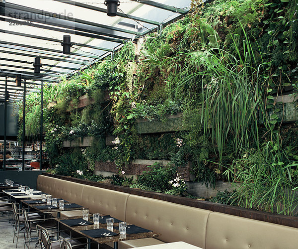 Restaurant mit Pflanzen an der Wand