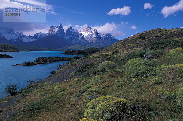 Chile  Patagonia  National Park Torres del Paine