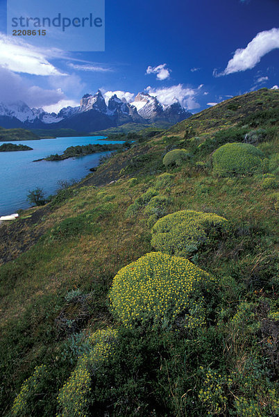 Chile  Patagonien  Nationalpark Torres del Paine  den Pehoe See