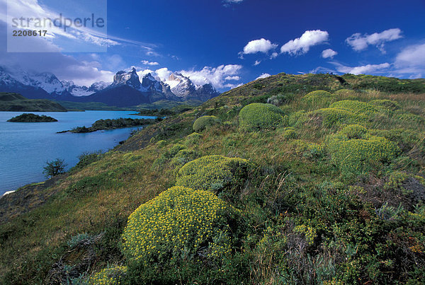 Chile  Patagonien  Nationalpark Torres del Paine  den Pehoe See