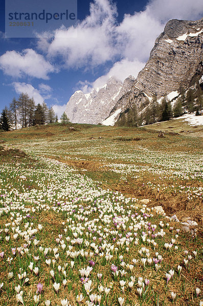 Lombardei  Bergamo Voralpen