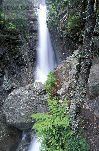 Slowakei  Nationalpark Hohe Tatra  stream Maly Studeny und Wasserfall