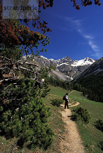 Schweiz. Engadina  der National Park  Grimmels Alpen track