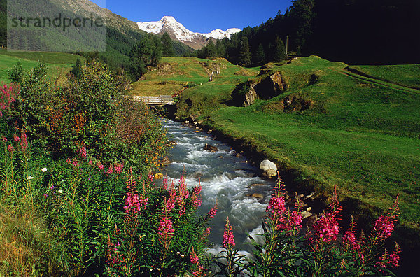 Trentino Alto Adige  Val Senales