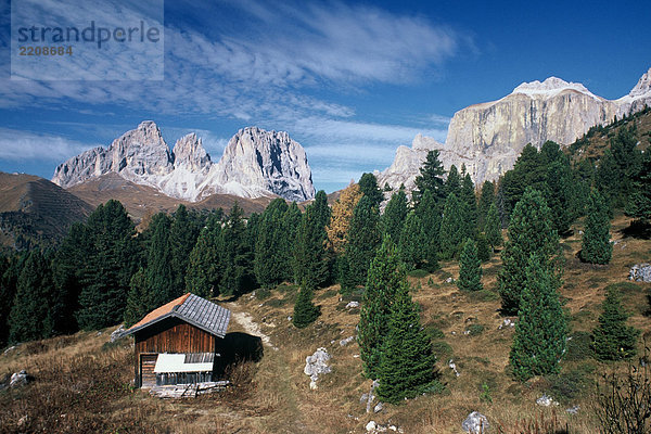 Trentino Alto Adige  Dolomiten  Langkofel vom Sass Pordoi